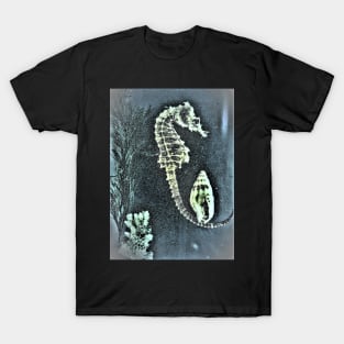 SEAHORSE T-Shirt